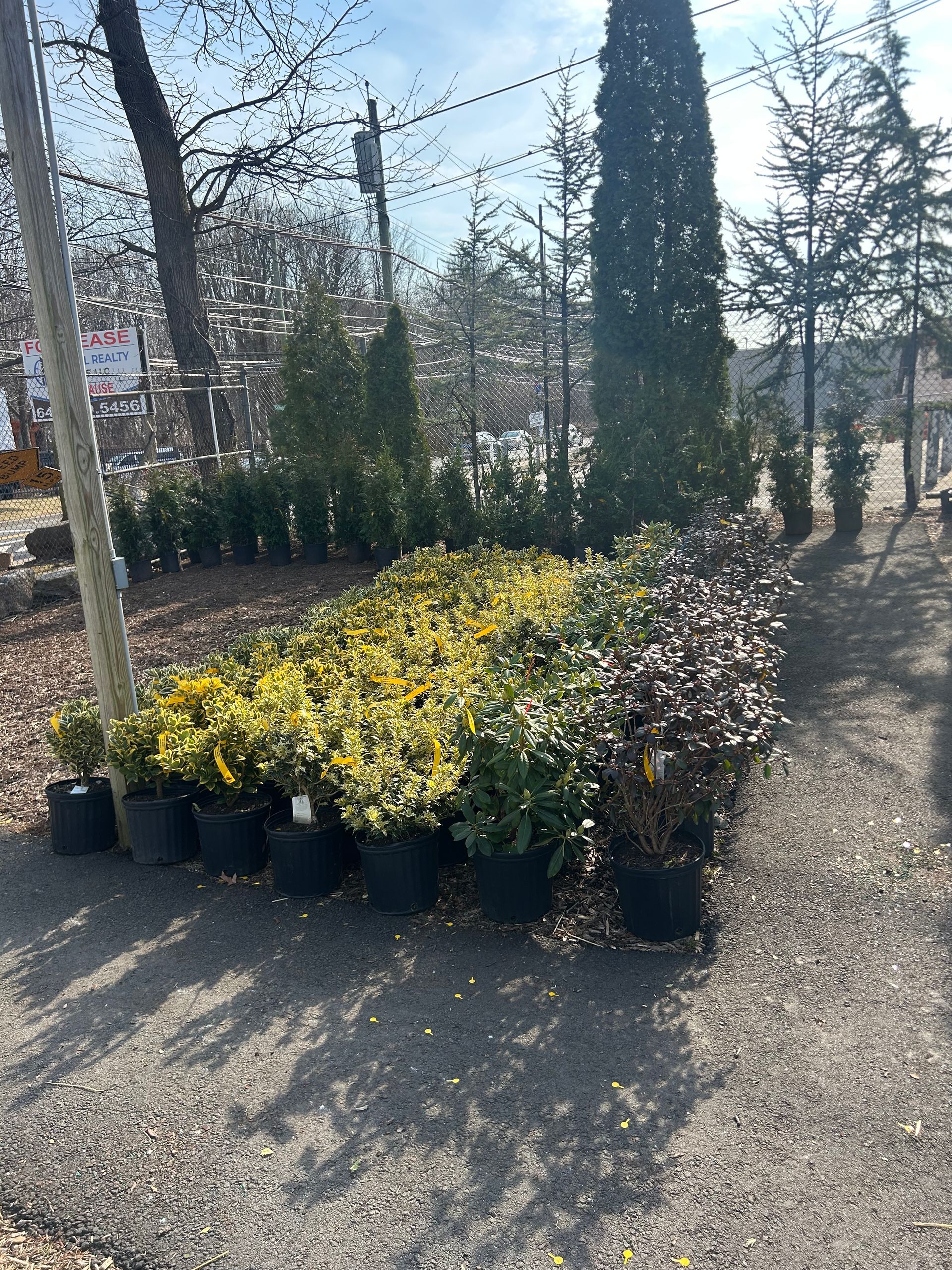 A bunch of potted plants are sitting on the ground in a garden.