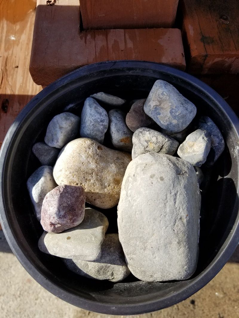 A black bowl filled with rocks is sitting on the ground.