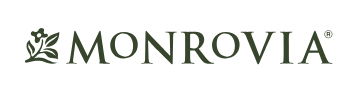 Monrovia