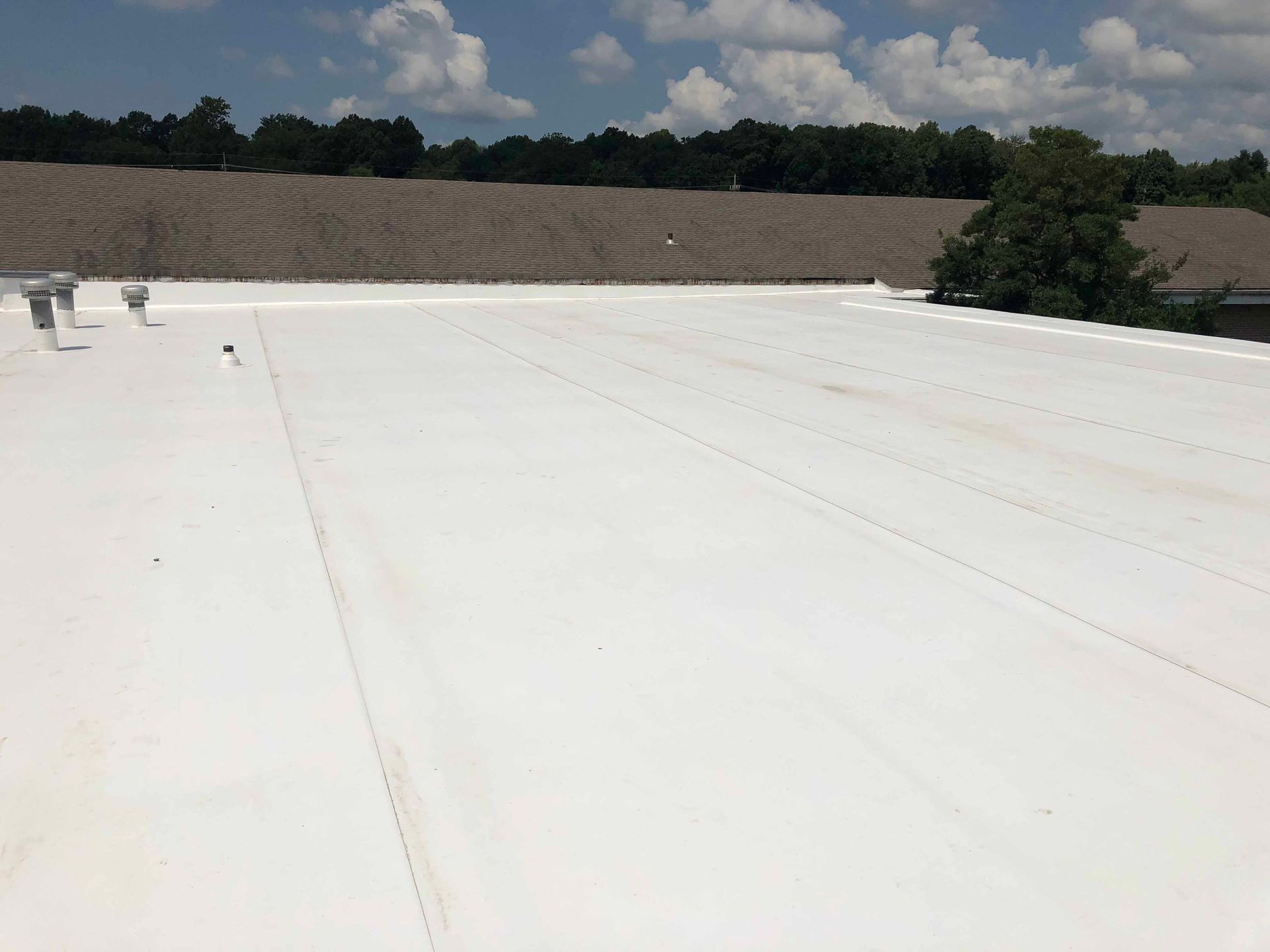 A white roof with trees in the background on a sunny day.