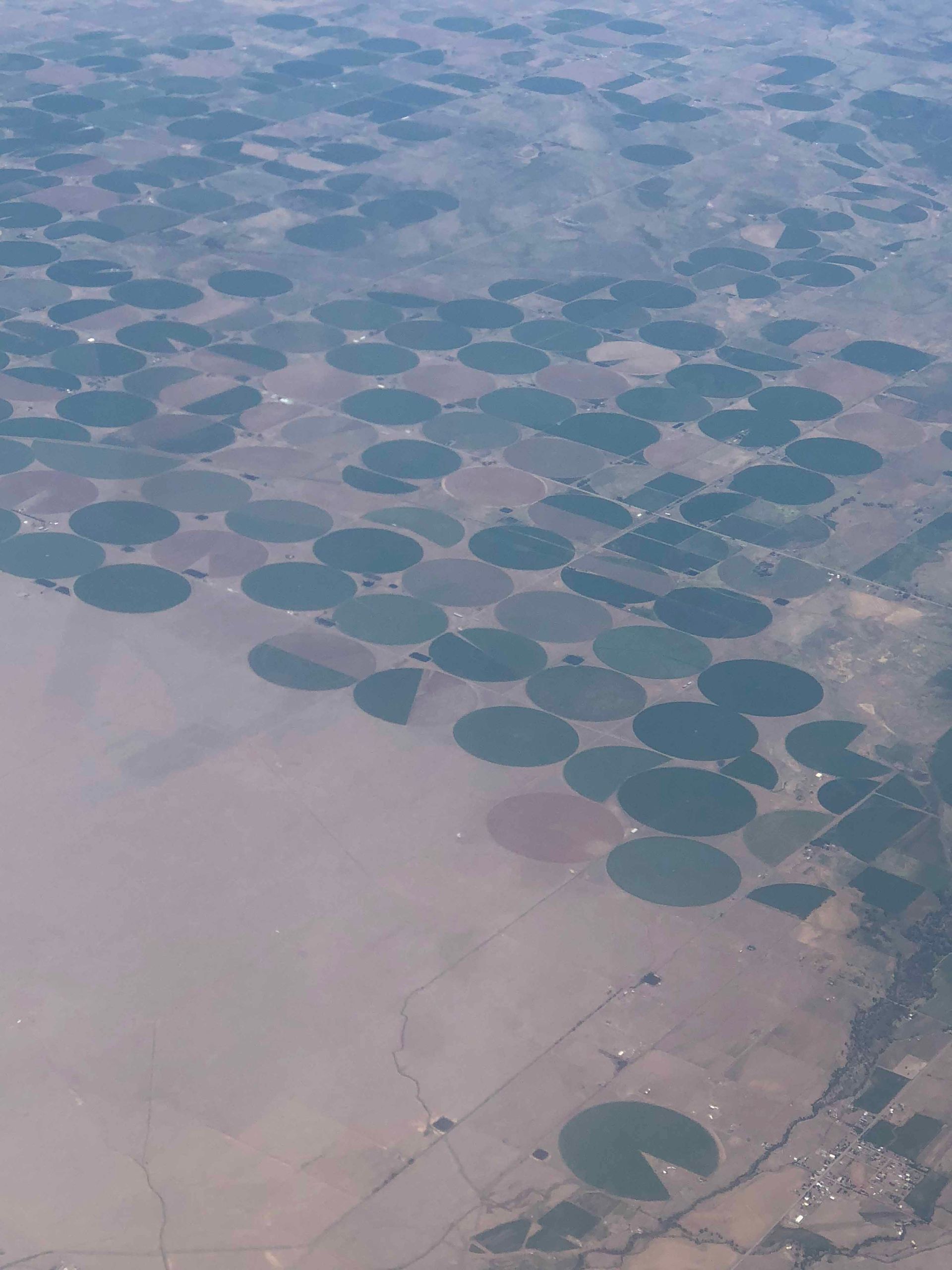 An aerial view of a lush green field from an airplane window.