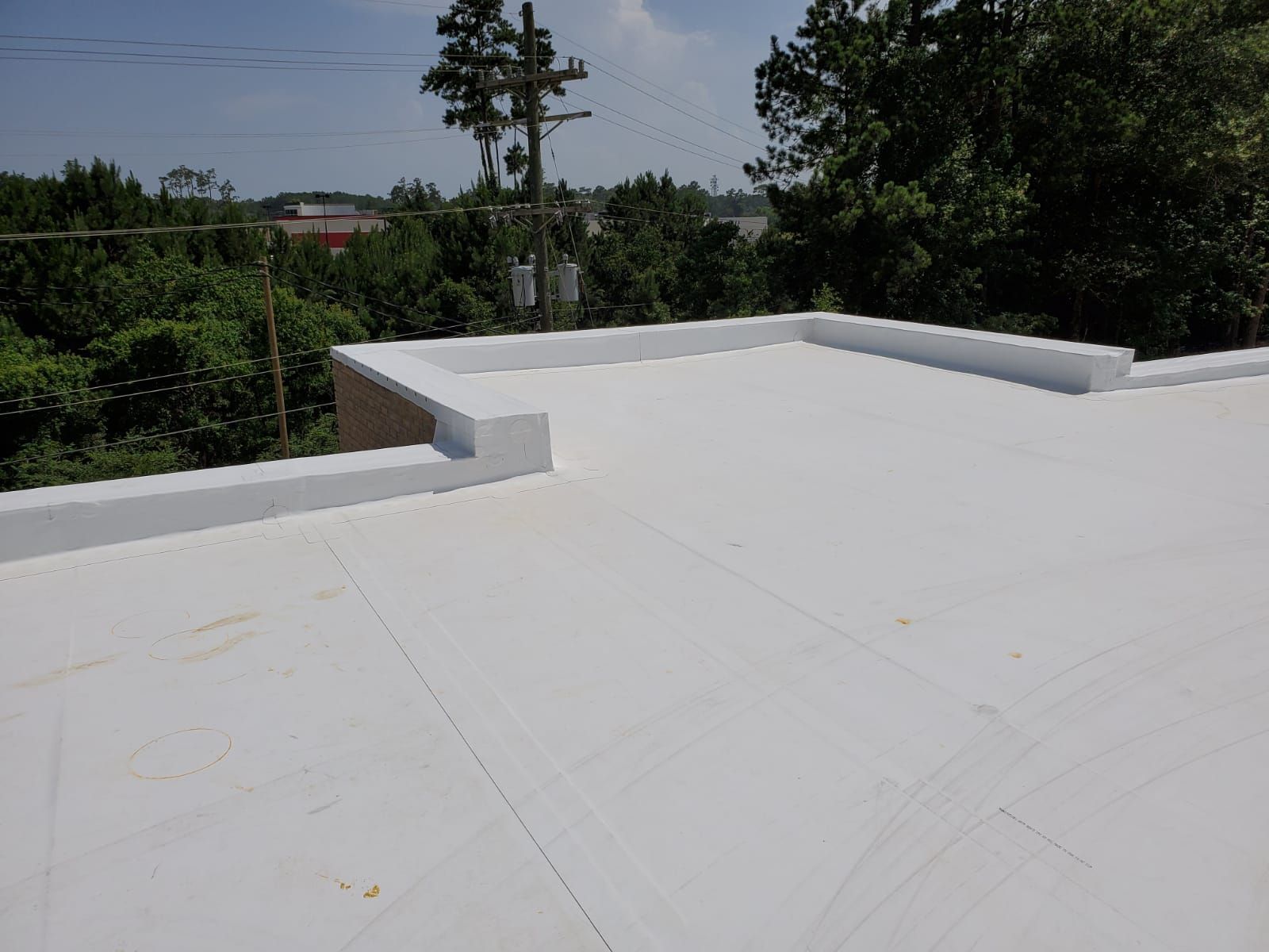 A white roof with trees in the background on a sunny day