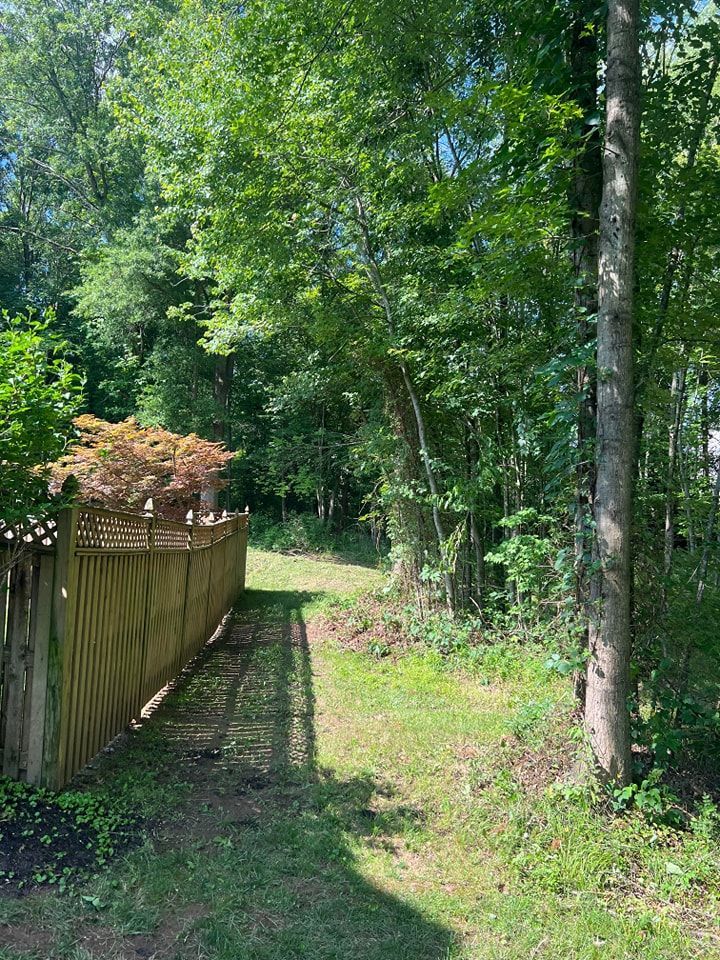 There is a wooden fence in the middle of the woods.