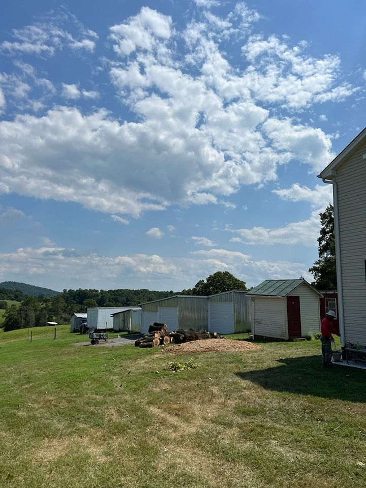 A man is standing in a grassy field in front of a house on a sunny day.