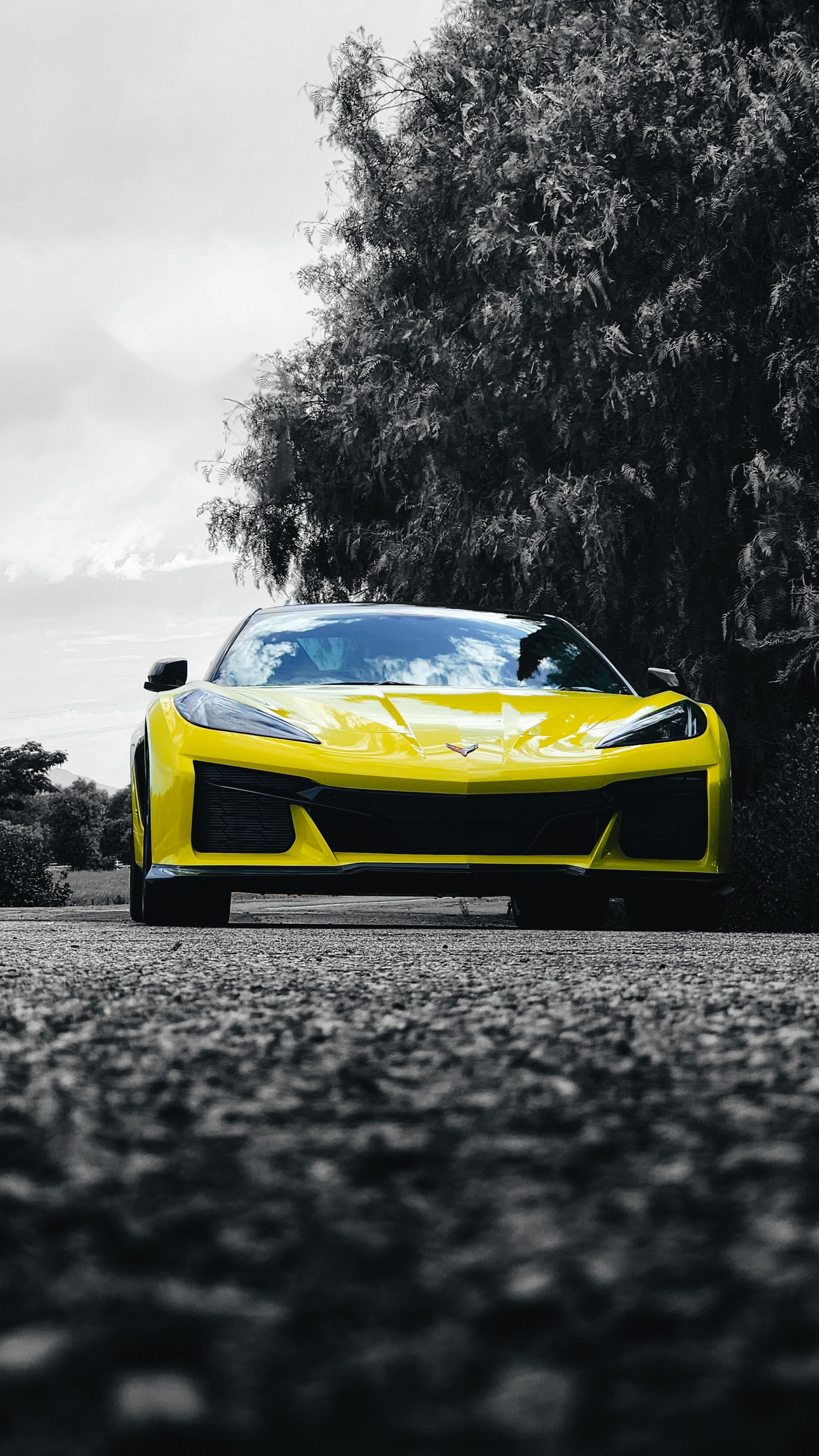 Yellow sports car parked on a gravel road, with a grayscale background of trees and sky.