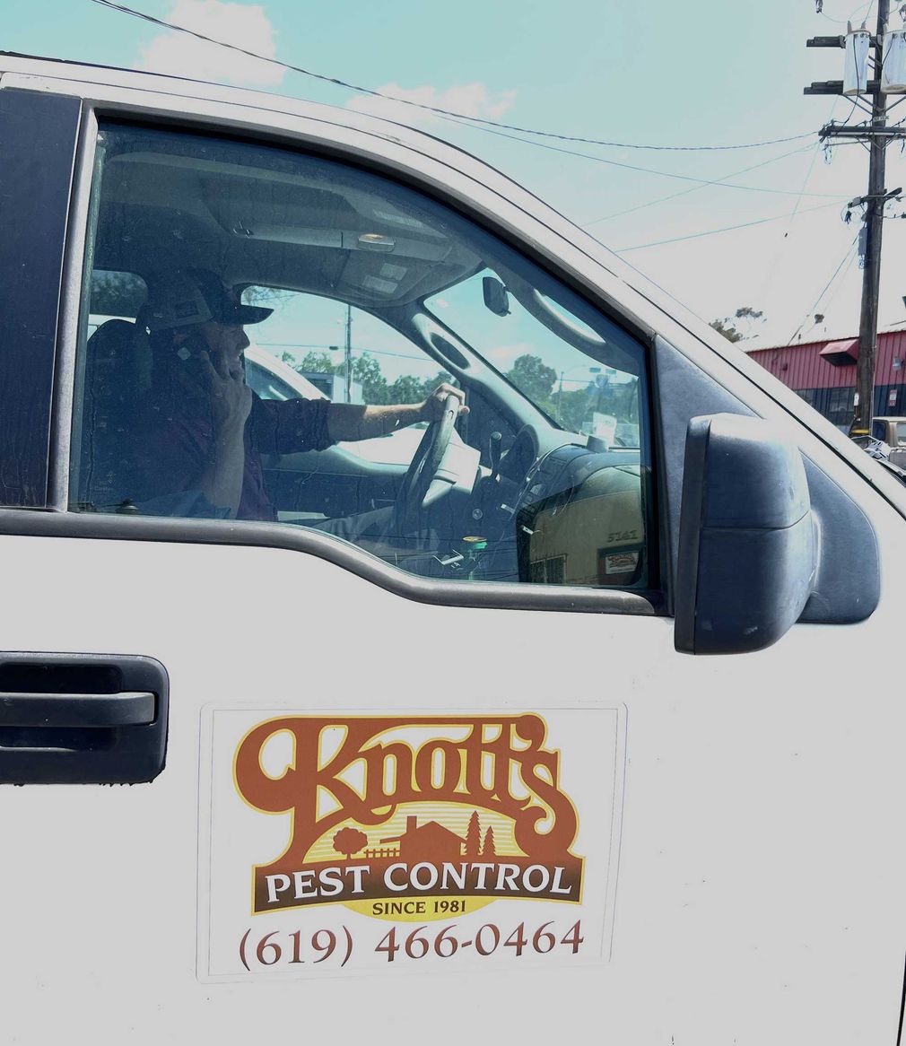 White truck with