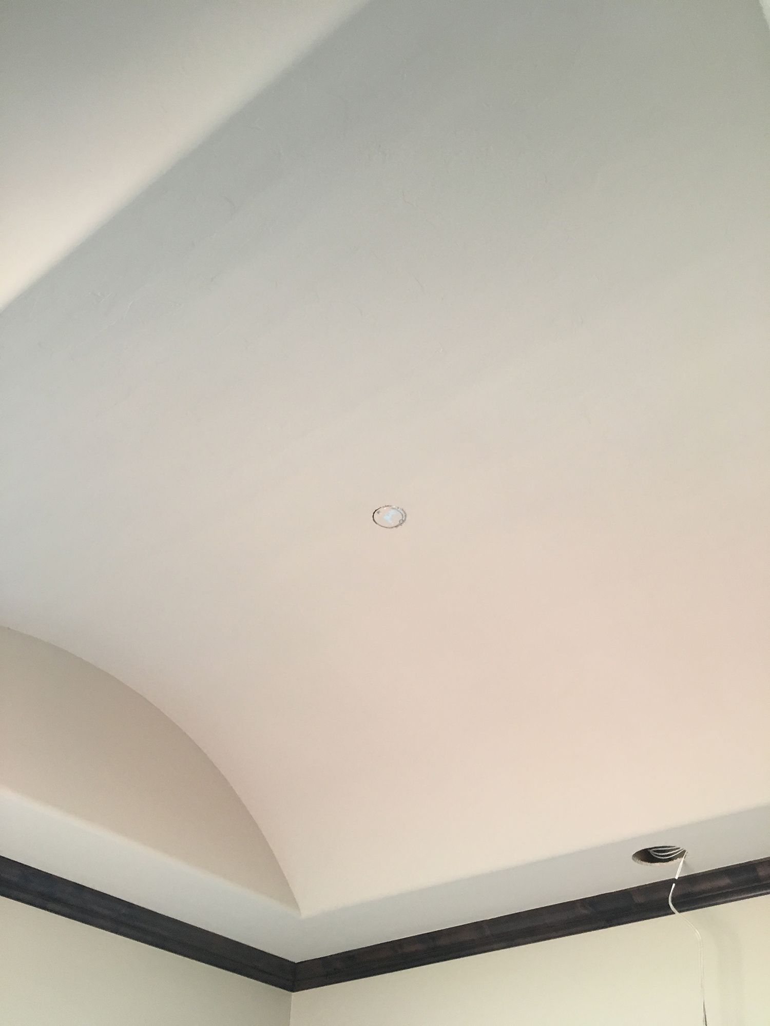 White curved ceiling with a recessed light fixture and dark molding.