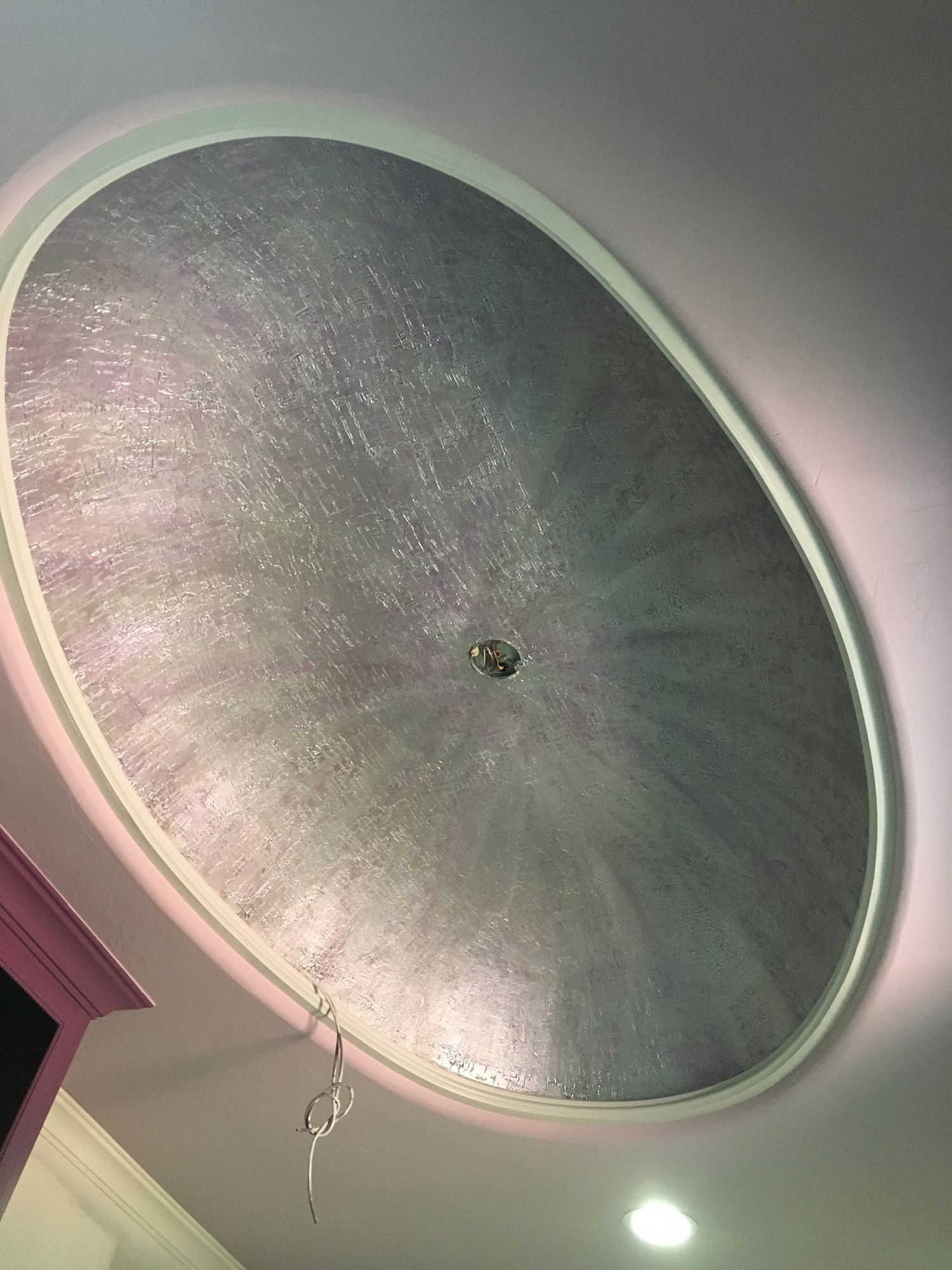 Oval ceiling with silver-toned finish. White trim. Single light fixture at center.
