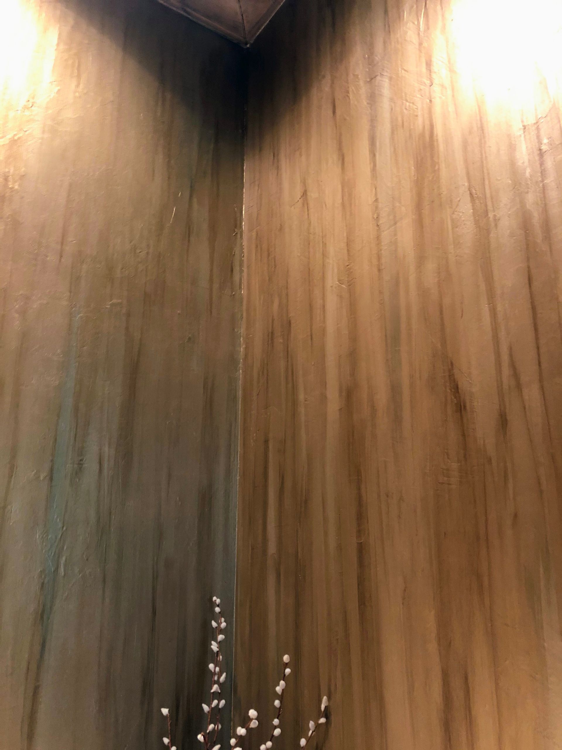 Corner of walls with wood-grain-style paint in shades of brown and green, small plant in the corner.
