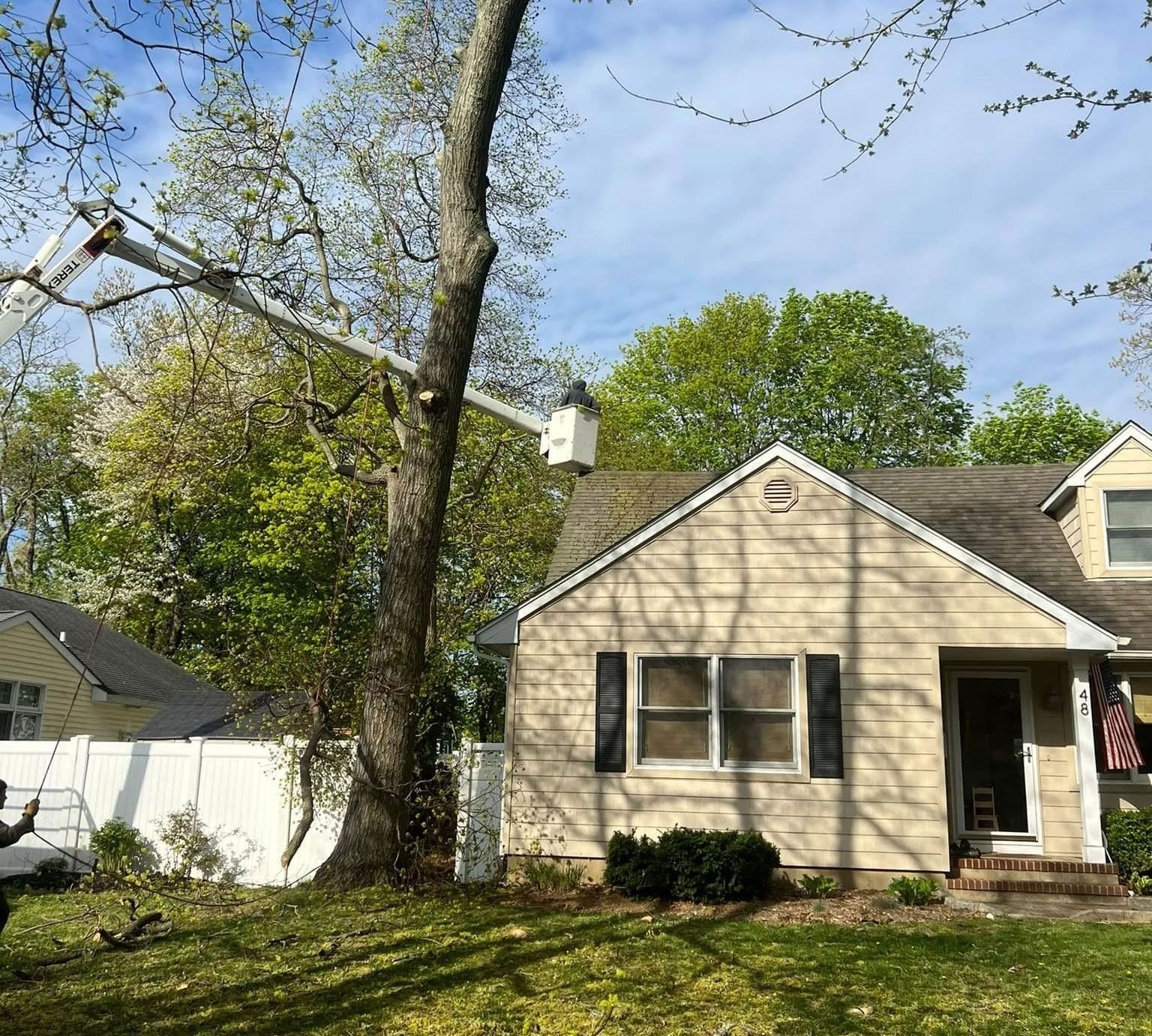 Any Cut Tree Service