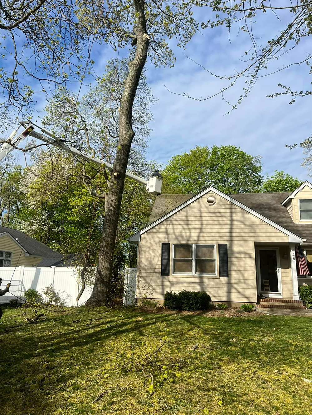 A tall tree next to a beige house, with green grass in front. White fence on left.