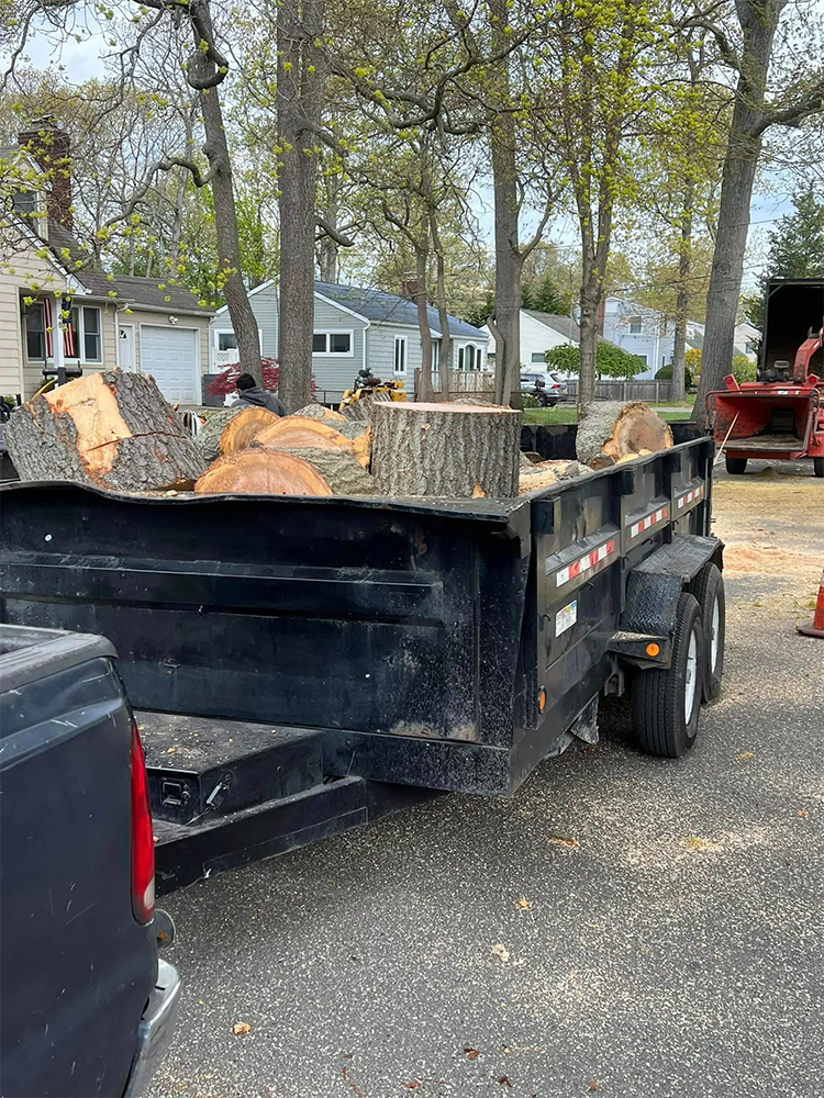 Black trailer loaded with tree logs; houses and trees in the background.