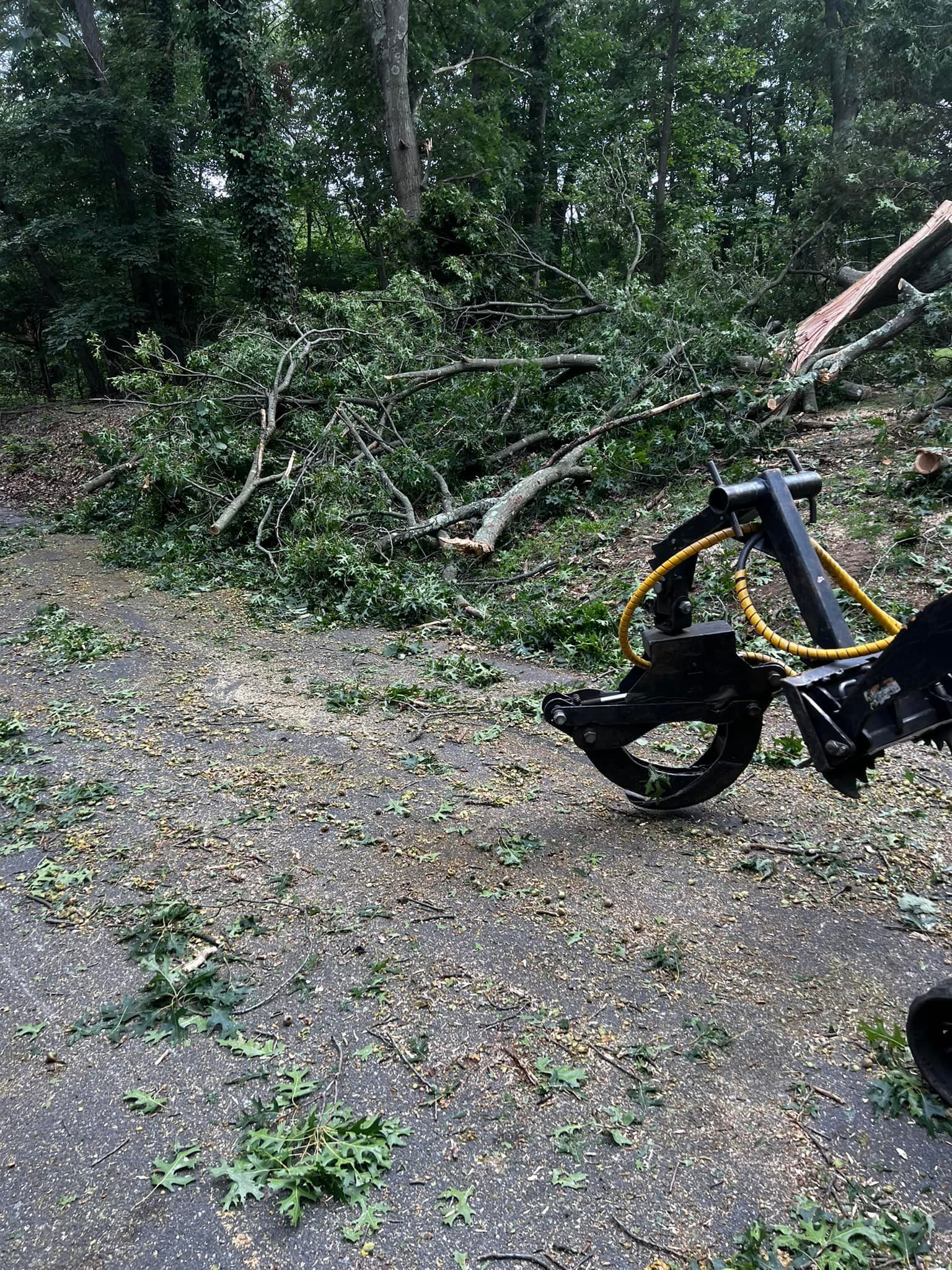 A tree branch grapple clearing cut branches in a wooded area. Debris covers the ground.