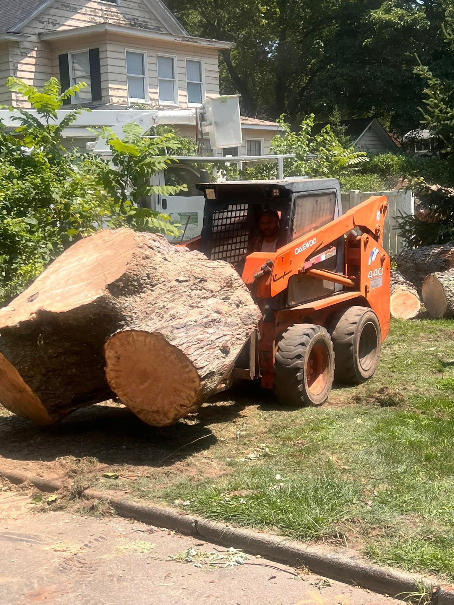 Orange skid steer carrying large tree logs near a house with white fence.