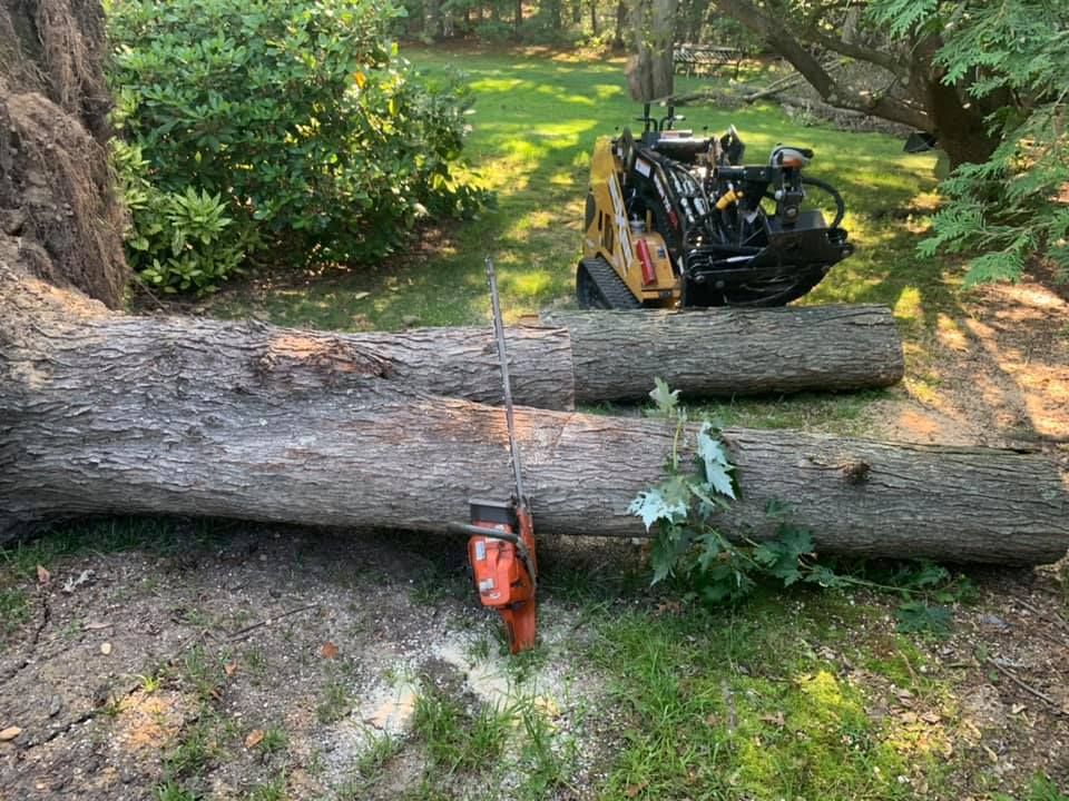 Logs with a chainsaw, mini-excavator in the background, outdoors on grass.