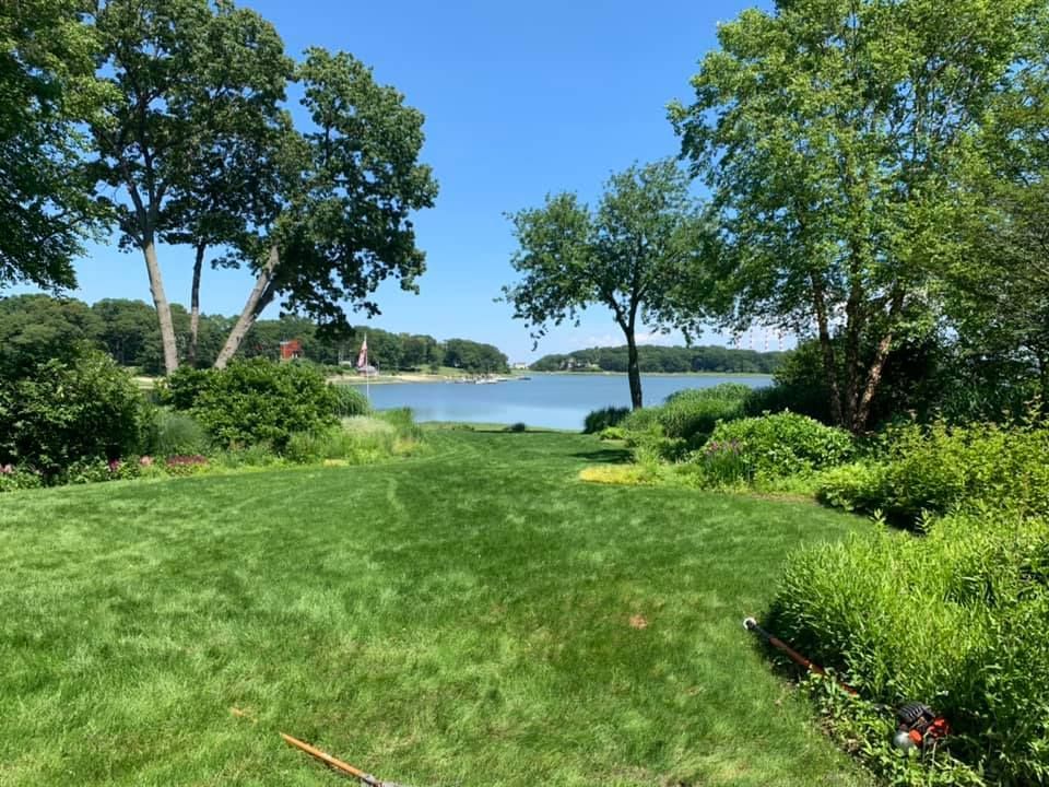 Lush green lawn leads to a scenic view of water and trees under a clear blue sky.