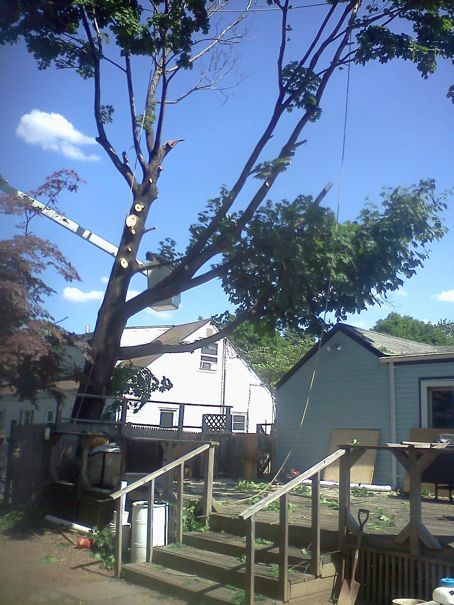 Tree being trimmed near a house, with blue sky and white clouds in the background.