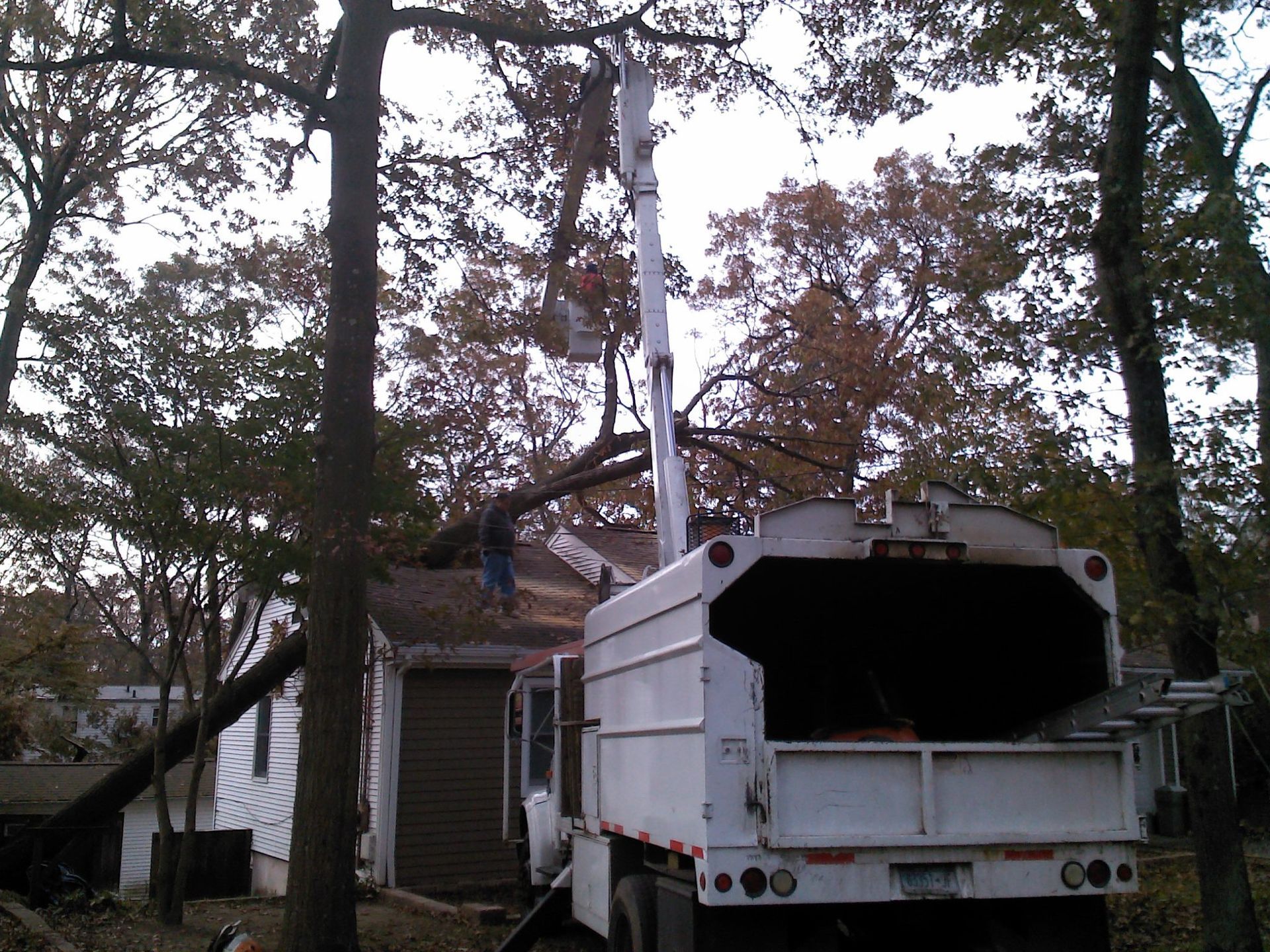 Tree removal: truck with lift, worker on roof cutting a large branch that fell on a house.