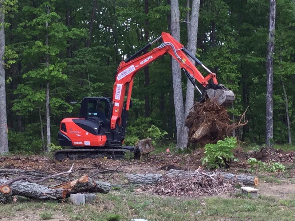 a red and black excavator is moving a large tree stump in the woods .
