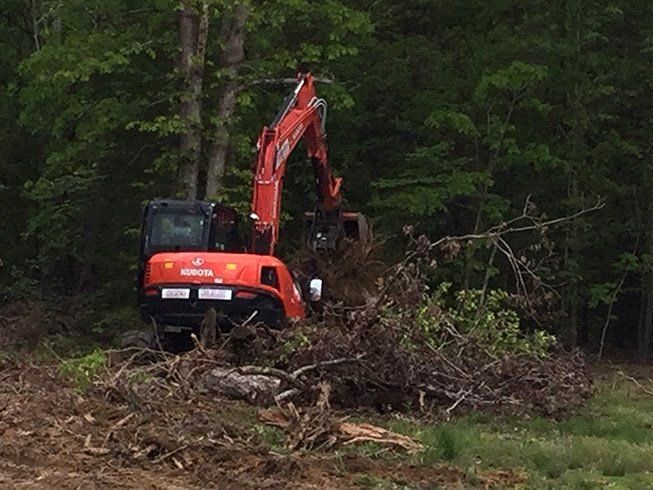 a red excavator is digging a hole in the middle of a forest .