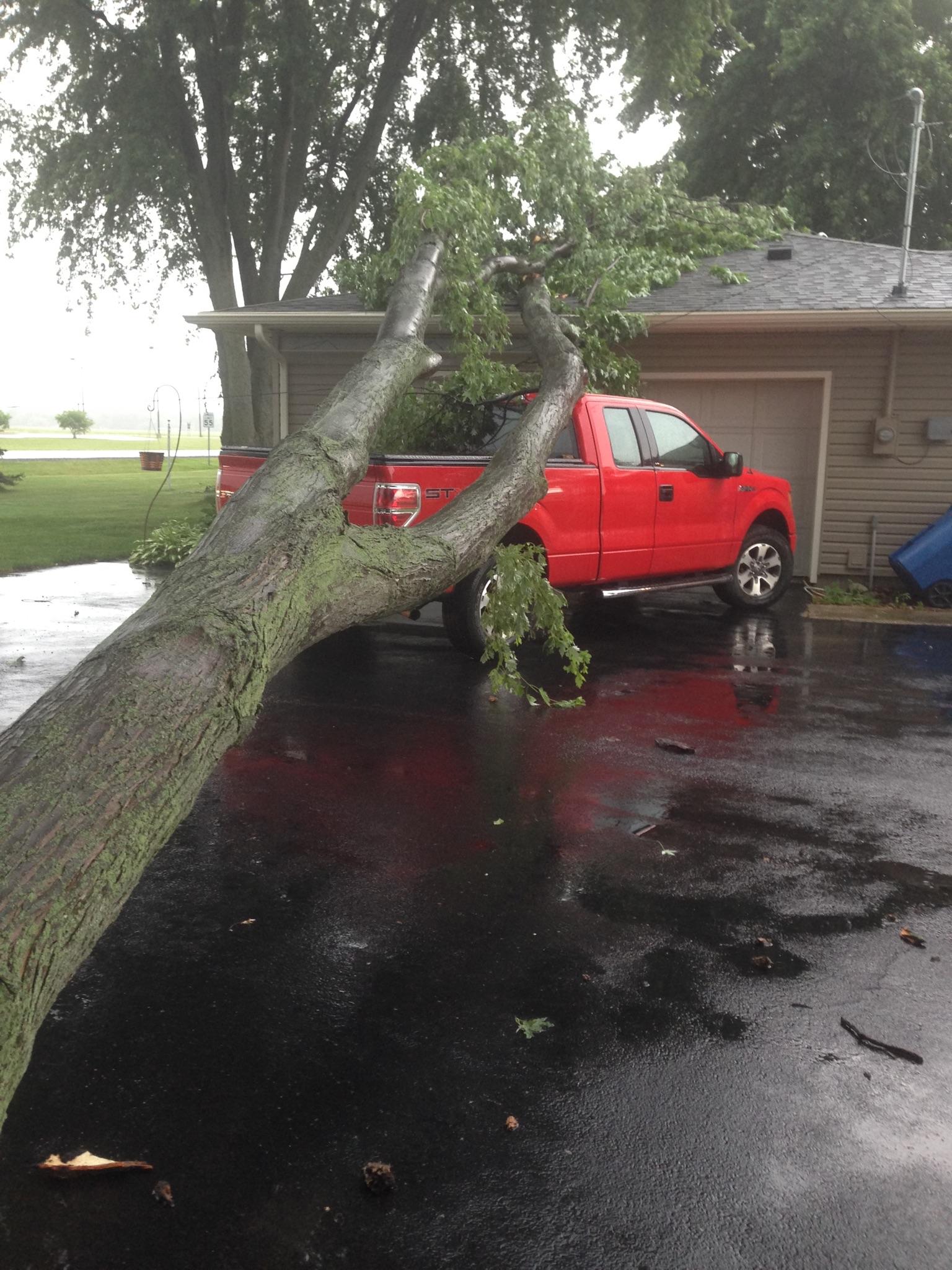 Storm damage clean up