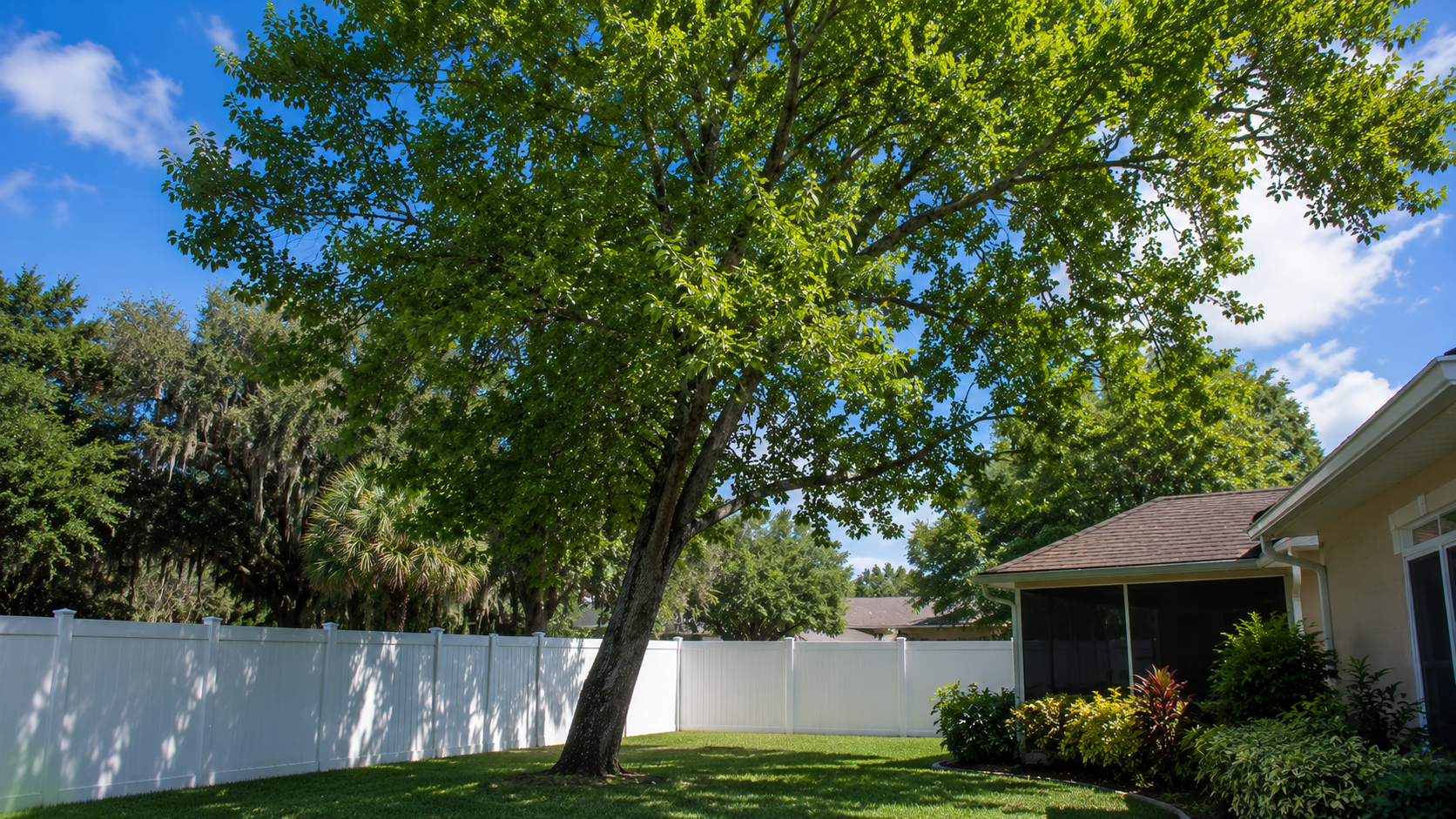 AI generated image of a leaning maple tree