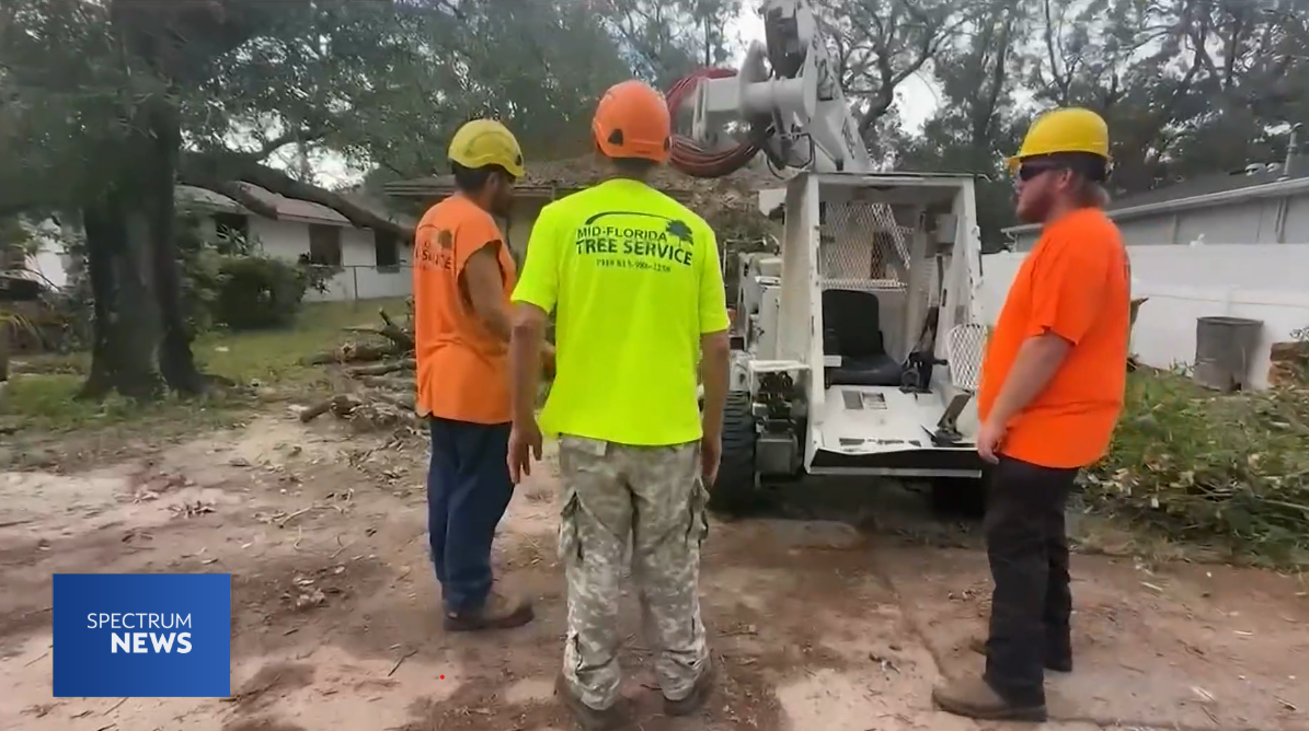 Workers in orange vests feed a tree trunk into a wood chipper.