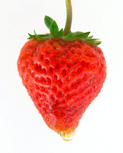 Red strawberry with green stem and leaves, against a white background.