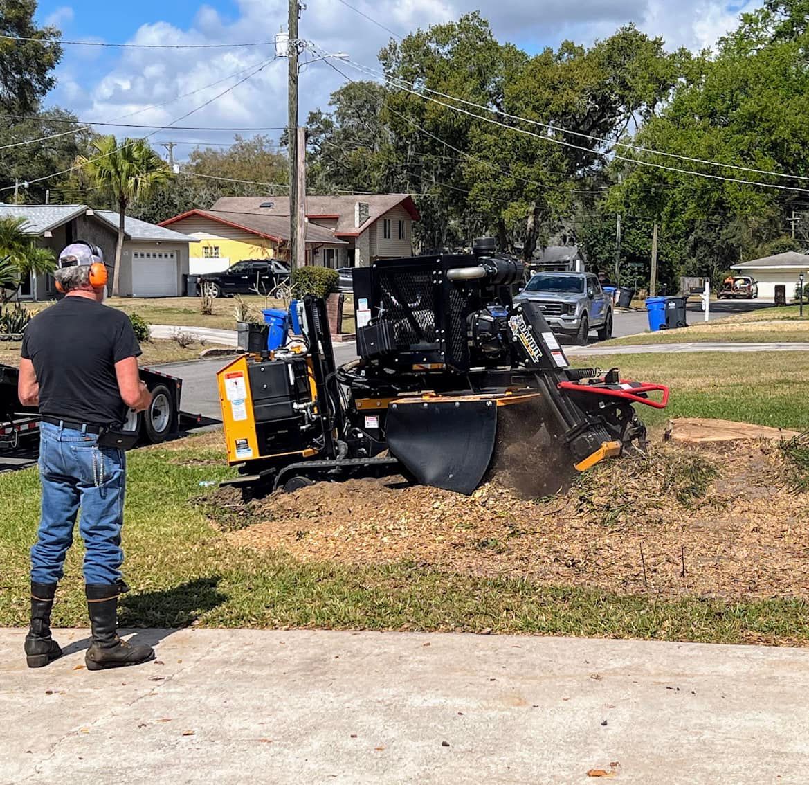 Man operating a stump grinder in a yard. Machine grinding wood into mulch. Houses in background.