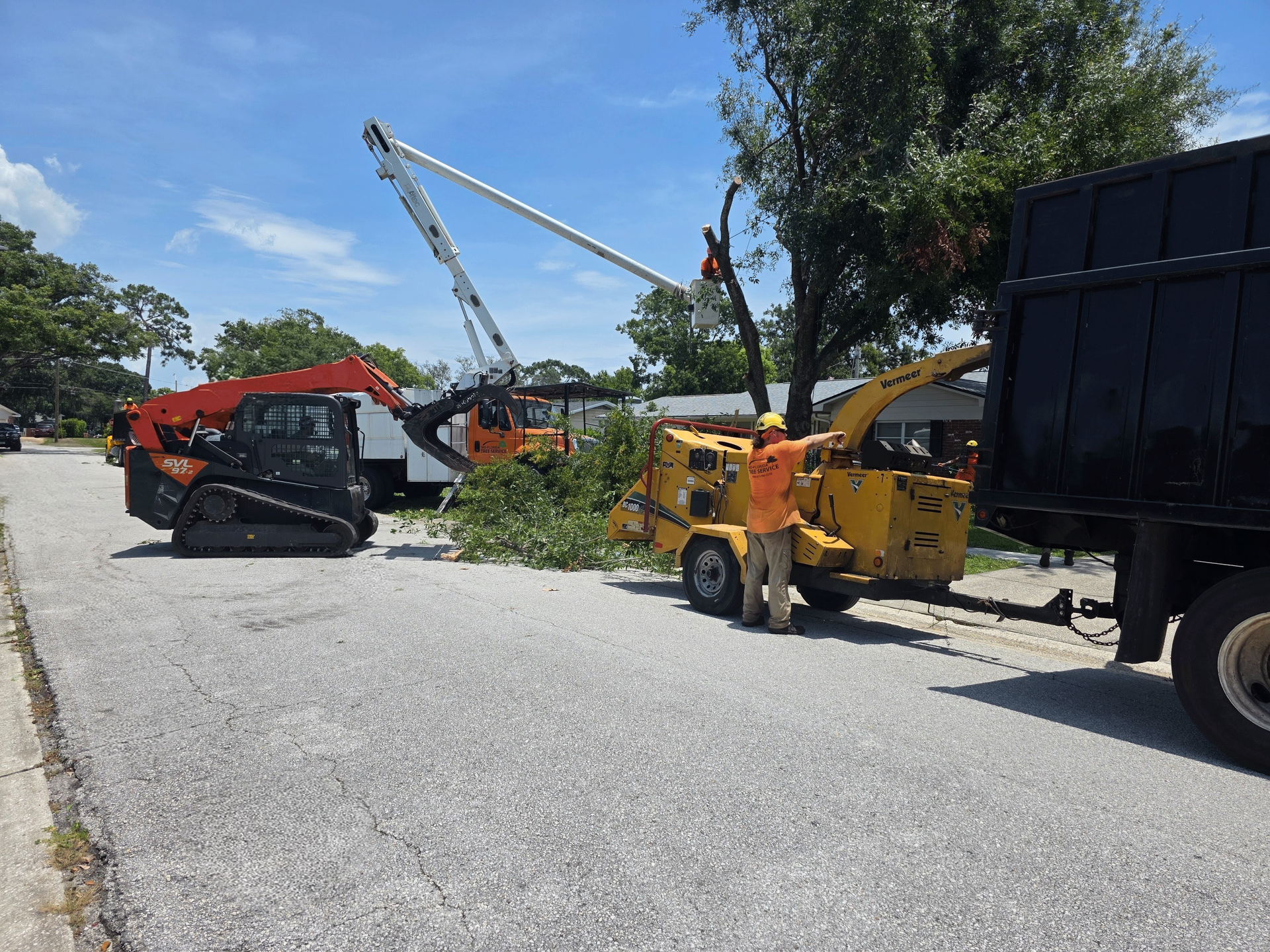 Tree removal equipment: Bobcat, crane, wood chipper, truck. Worker feeding branches. Sunny, outdoor setting.