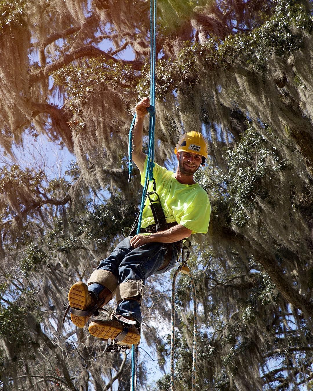 Arborist in a yellow helmet and shirt, climbing a rope in a tree, smiling.