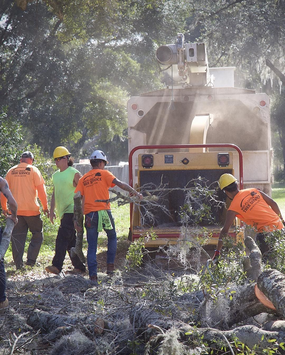 Tree service workers feeding branches into a wood chipper.