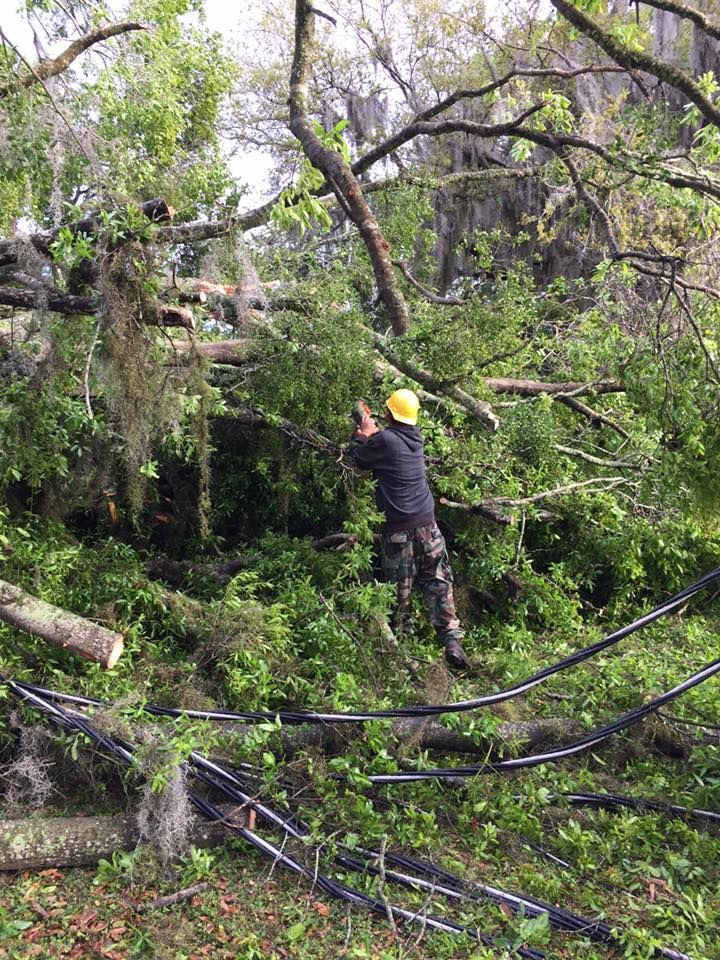 Man in hard hat and camo pants clearing downed tree from power lines.