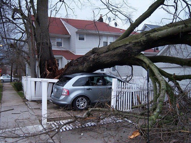 Tree fallen on a silver car in front of a white house with a broken fence.