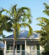 a house facade with tropical trees