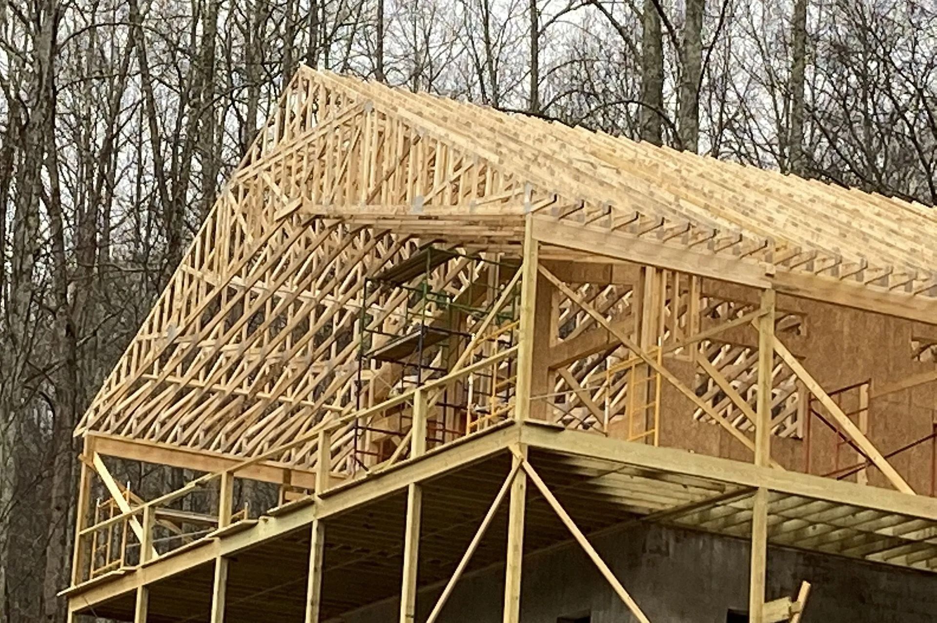 Wooden house frame under construction, with exposed rafters and sheathing, set against a forest.