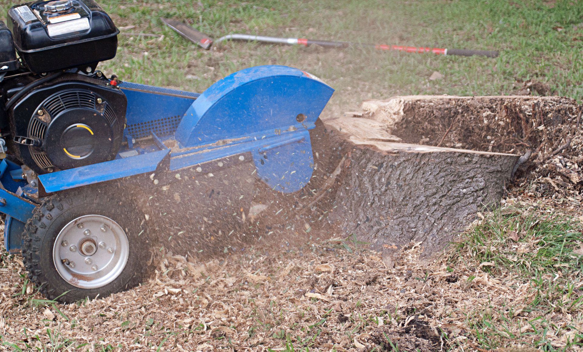 stump grinding
