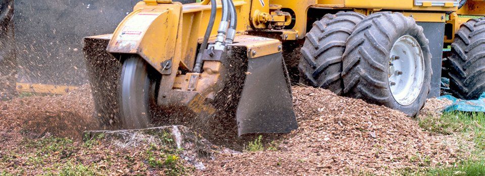 stump grinding