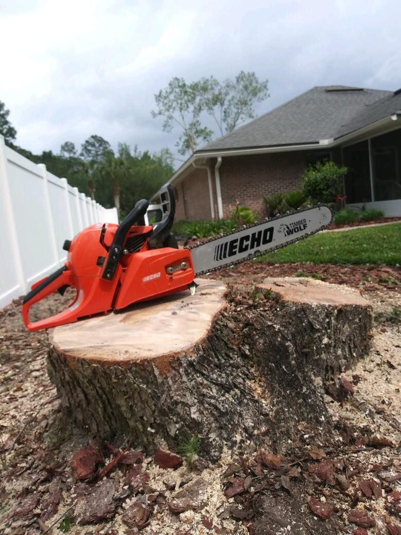 Orange chainsaw on a large tree stump in a yard, with a house and white fence in the background.