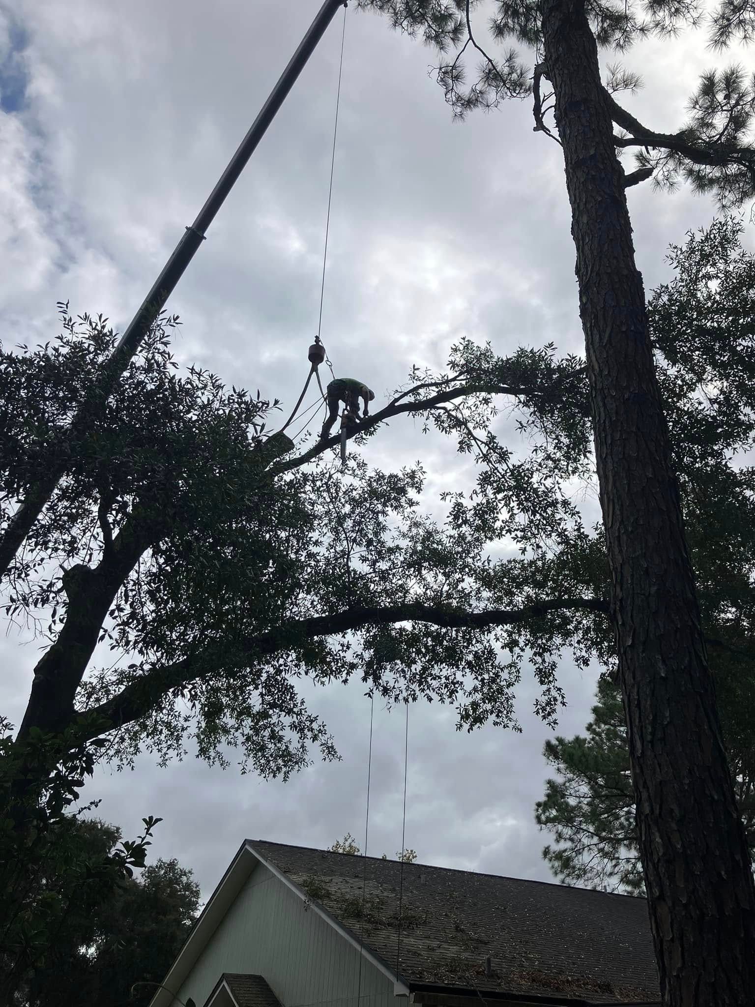 Tree limbs being lifted by a crane above a house roof under a cloudy sky