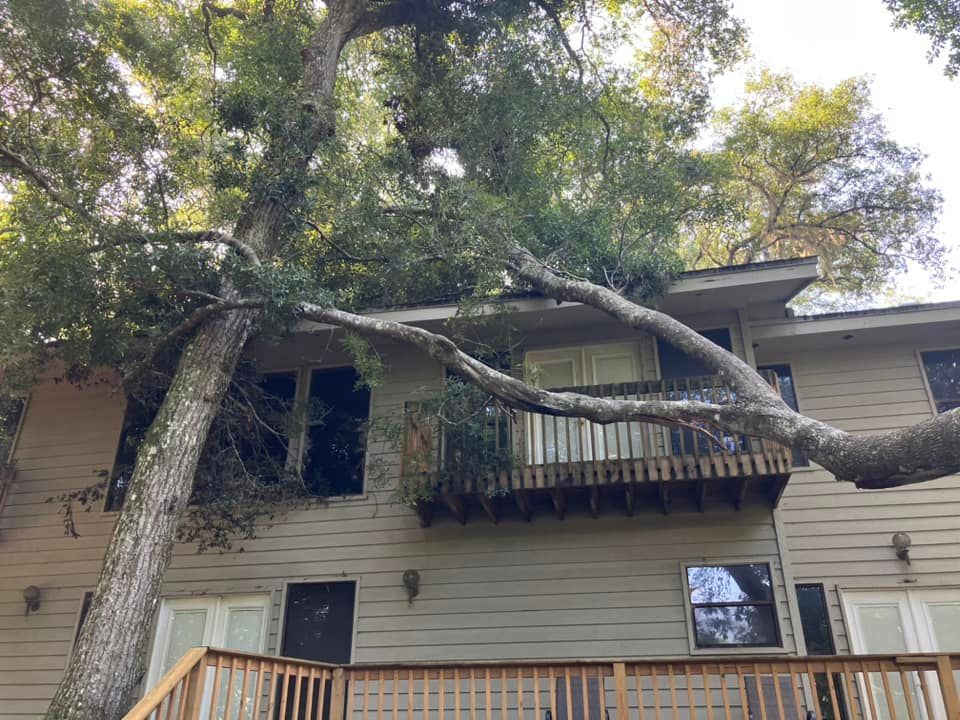 Large tree branch leaning across a two-story house with tan siding and windows.
