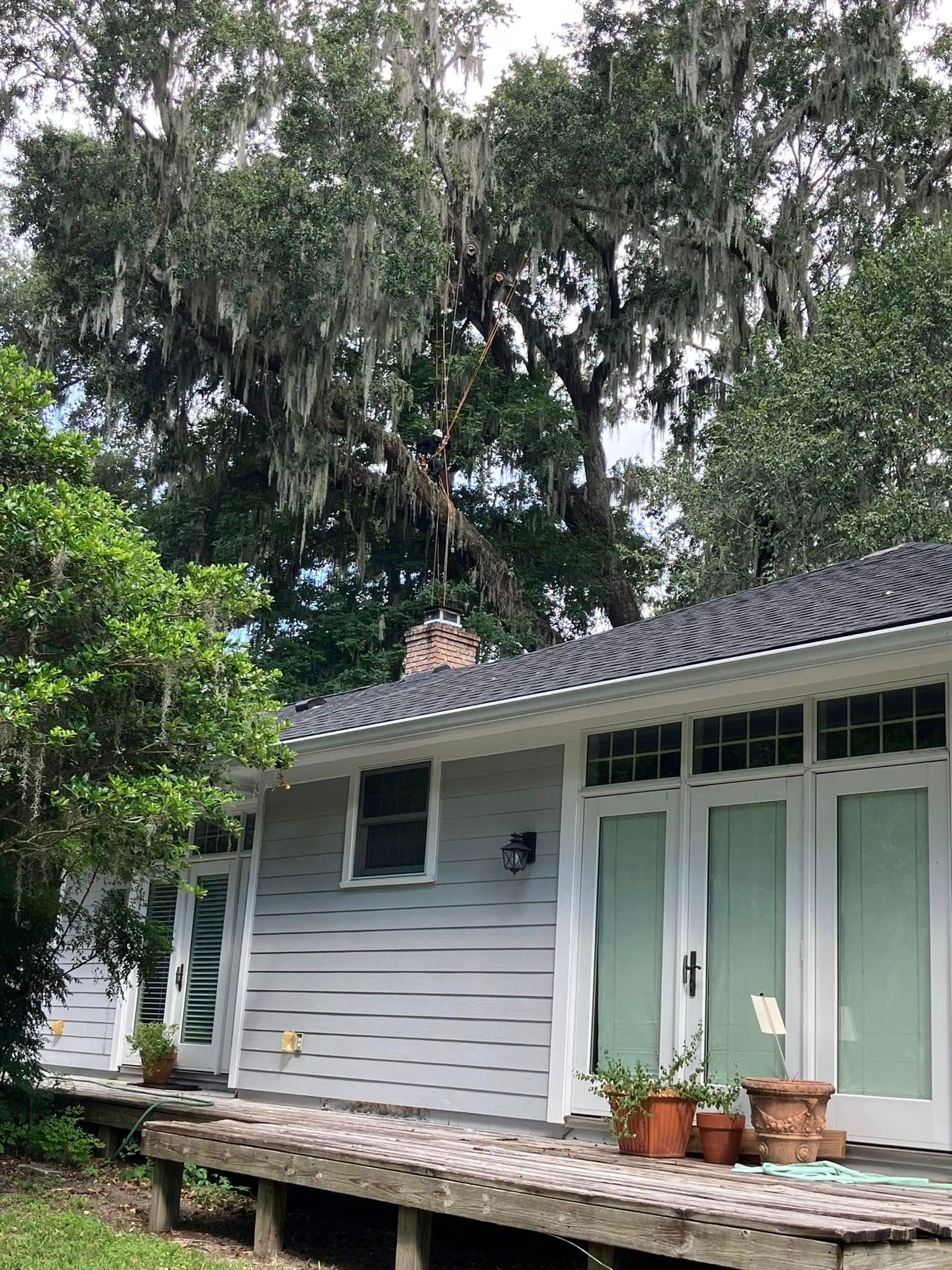 White house with green shutters and a black roof, surrounded by lush trees and a small porch with potted plants.
