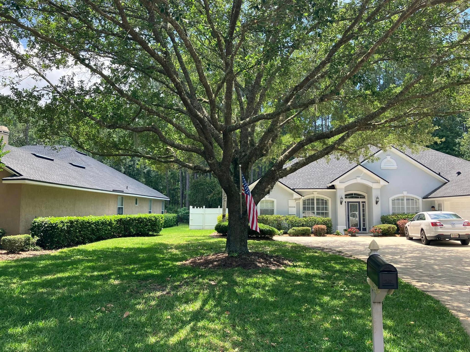 Suburban house with large tree, green lawn, driveway, and parked car in front.