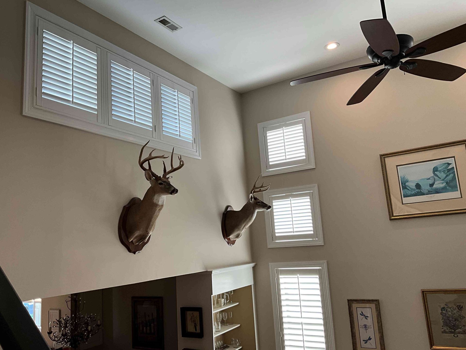 Living room corner with mounted deer heads, white shutters, ceiling fan, and framed art