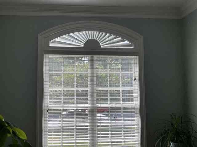 Window with white blinds and arched fanlight in a light blue room, with plants on both sides