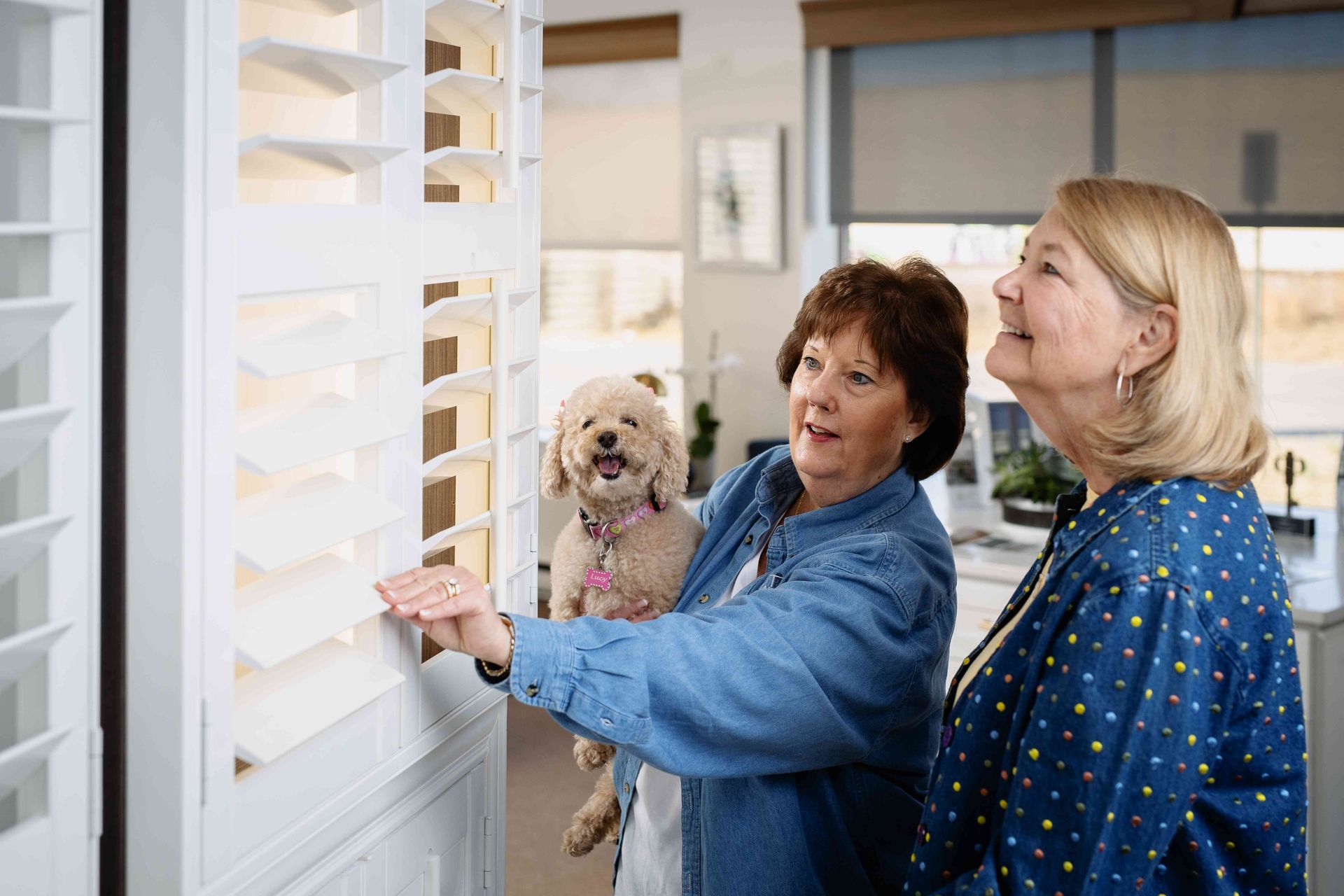 Two people and a small dog looking at white plantation shutters in a bright room