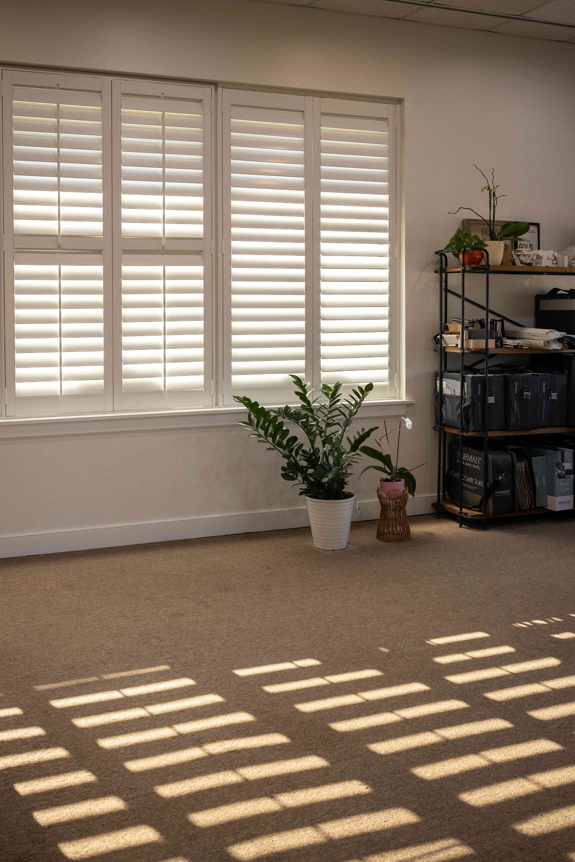 Sunlit room with white shutters, potted plant, shelving unit, and striped light on the carpet