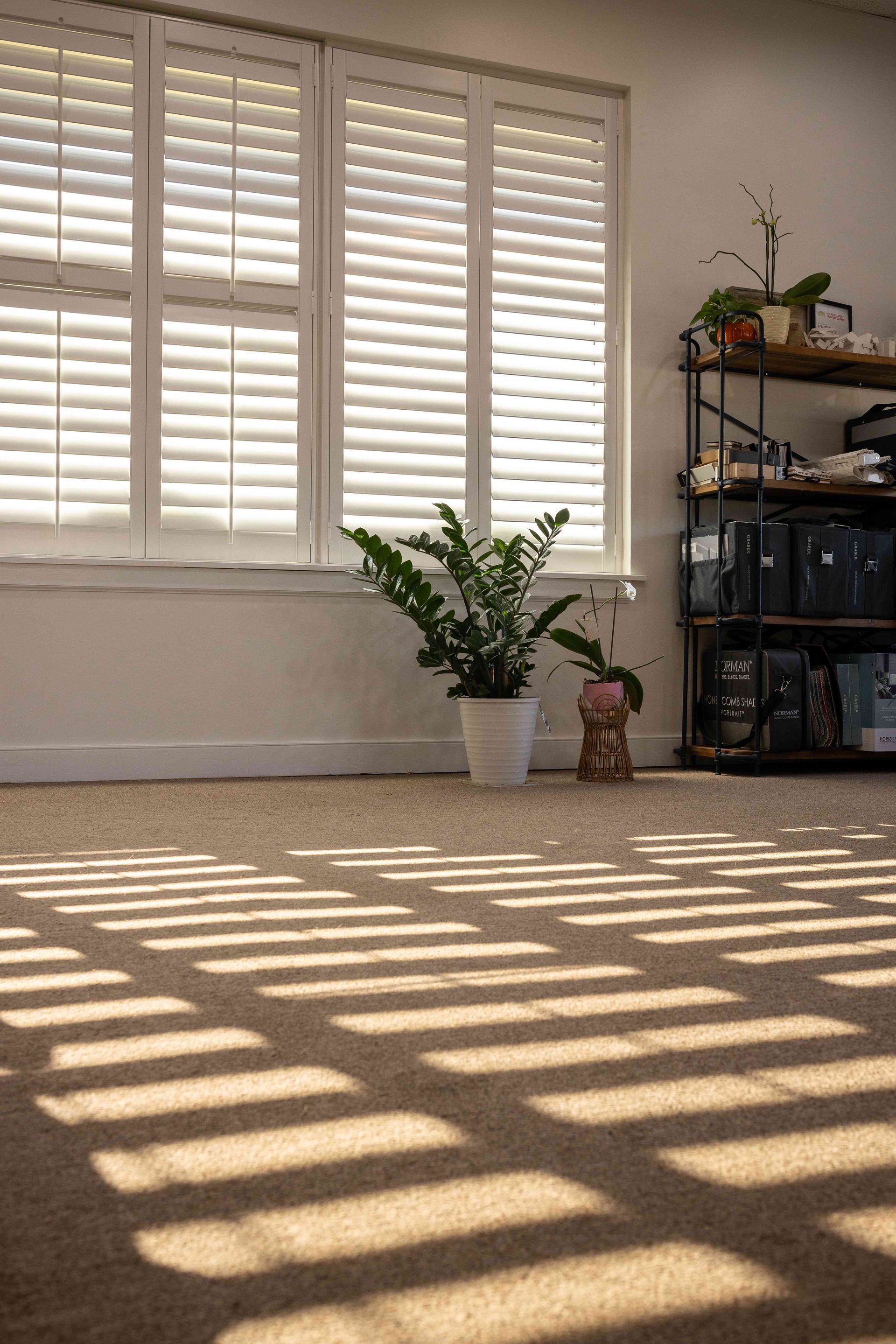 Sunlit room with white shutters, striped shadows on carpet, and a potted plant by the window