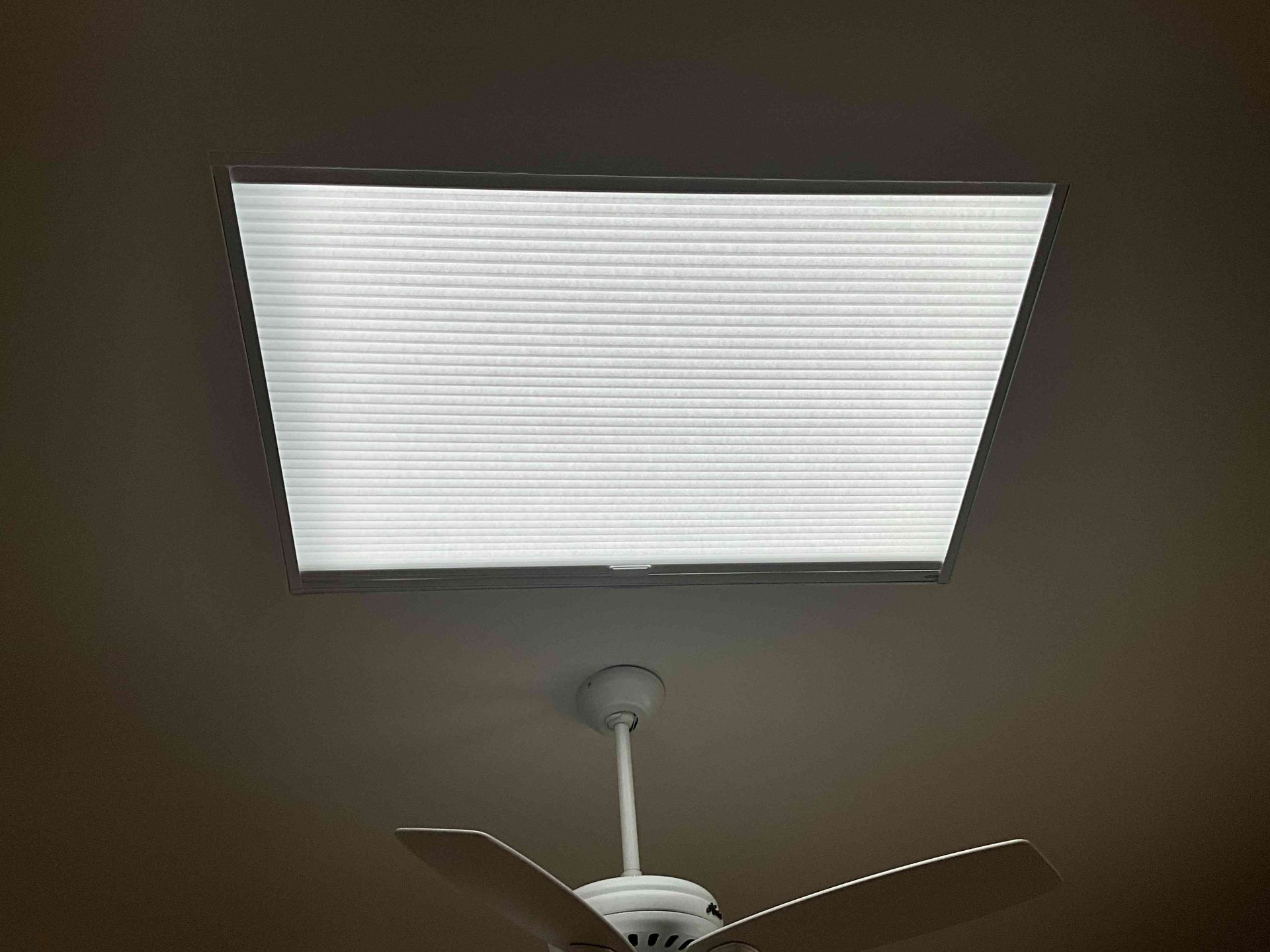 Ceiling fan beneath a rectangular fluorescent light panel in a dark room