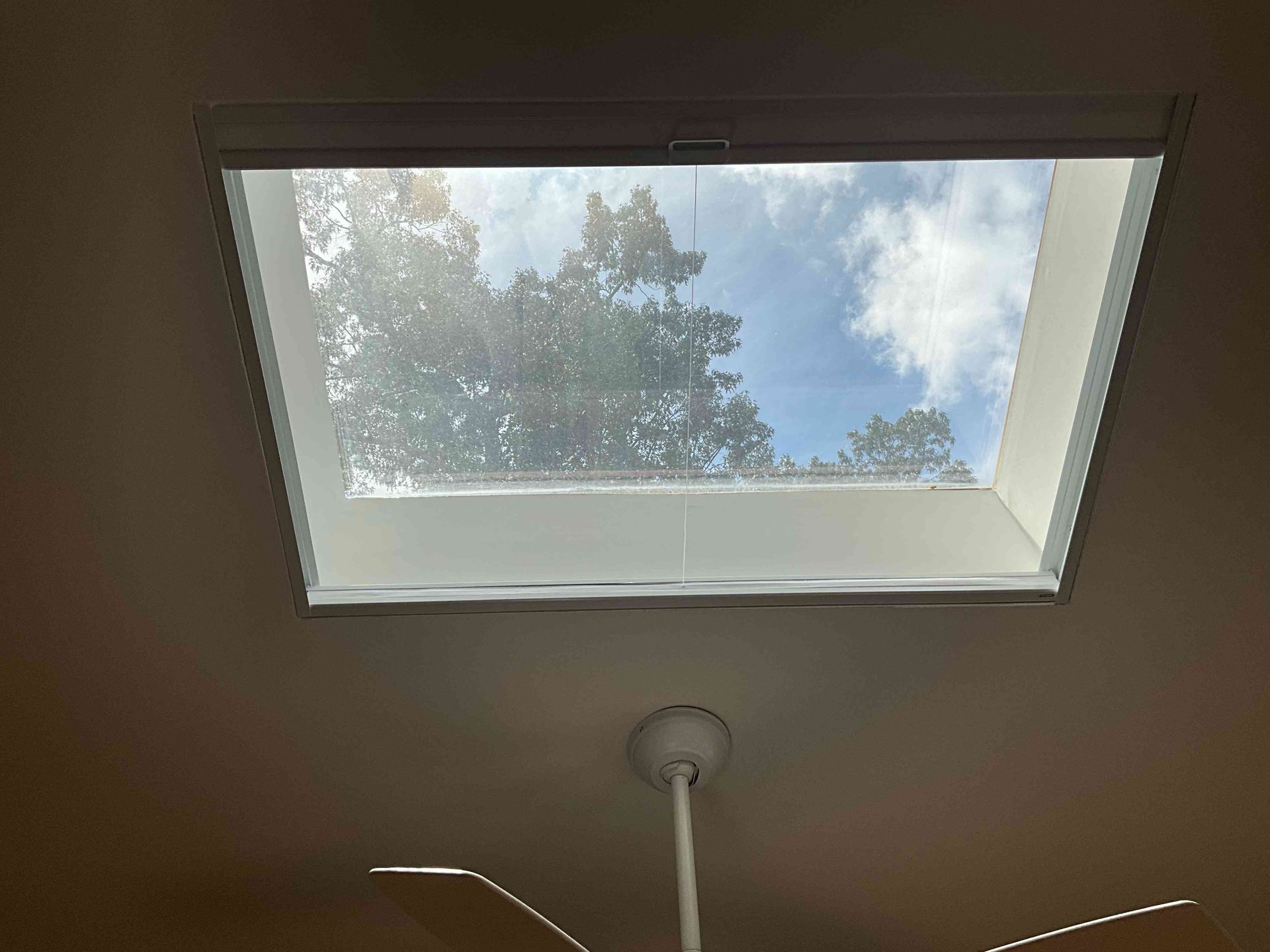 Skylight in a ceiling, showing blue sky and tree branches outside.